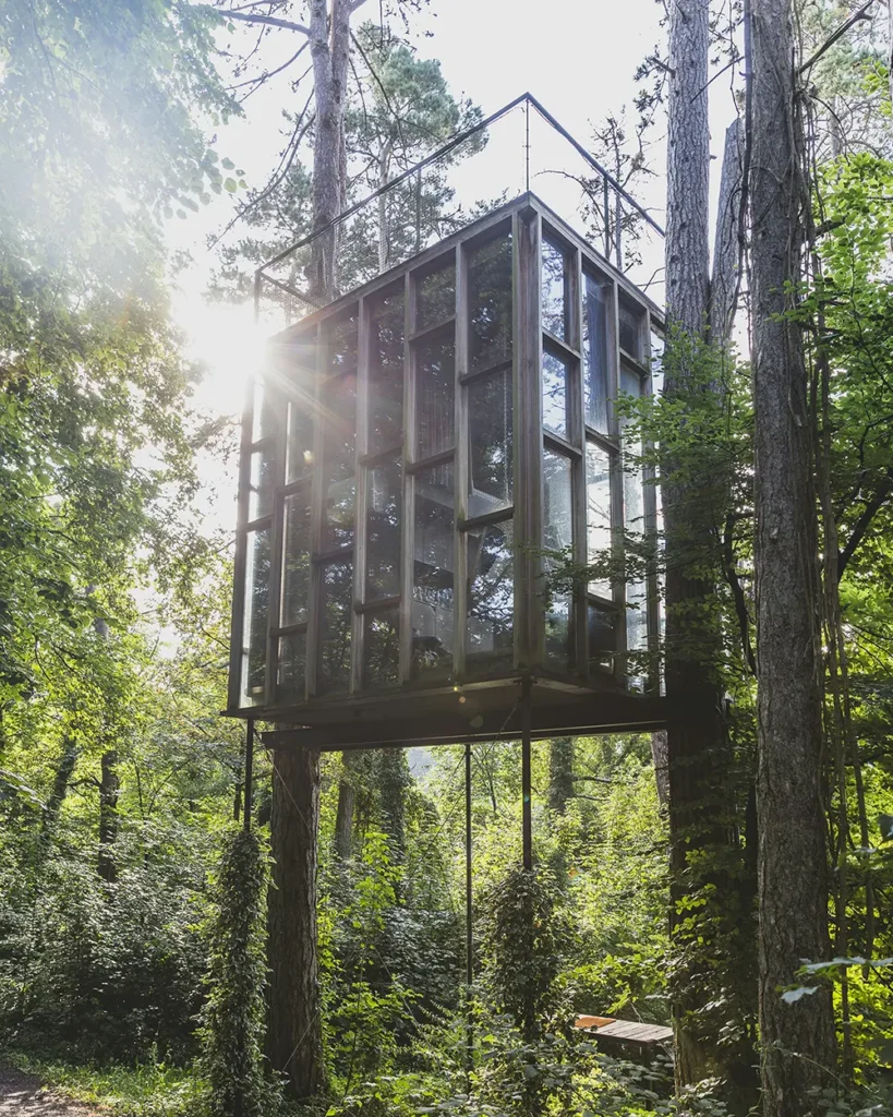 glamping in woods-unsplash