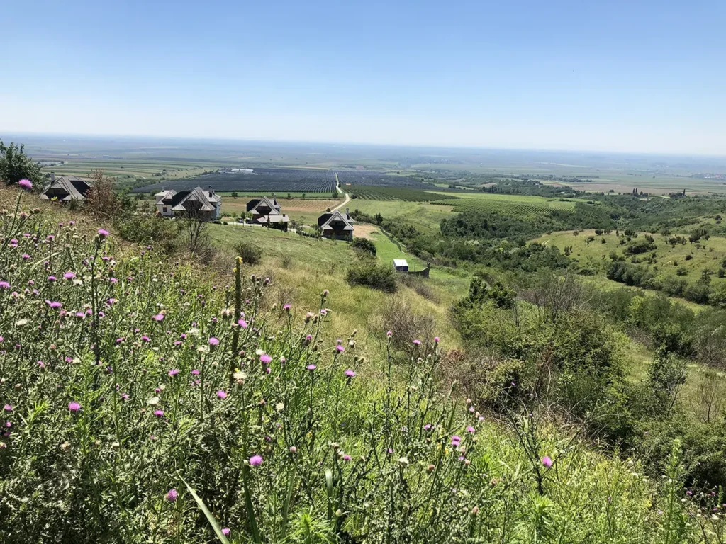 pogled sa Fruske gore