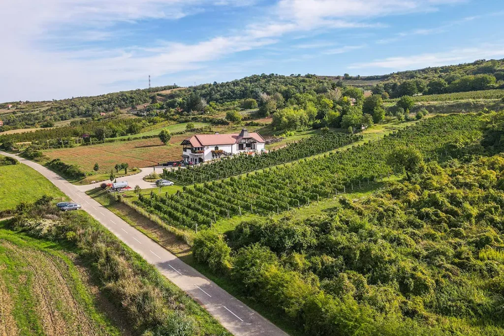 vinarija veritas